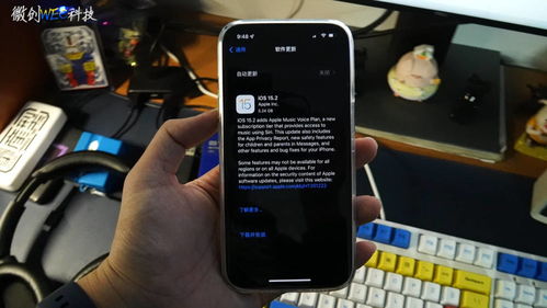 iOS 15.2正式版提前上手 这些设备的用户,我建议你更新