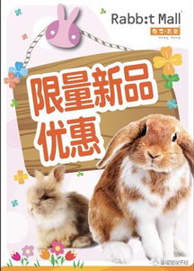 亚洲宠物展 兔子百货全国招商加盟