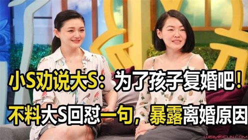 小S劝说大S 为了孩子复婚吧 不料大S回怼一句,透露离婚原因