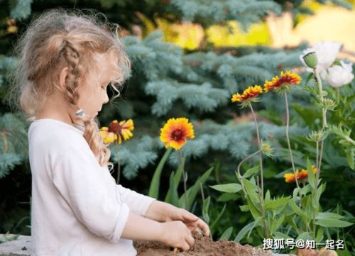 女孩起名改名 书香气息,有学识,有内涵的女孩名字