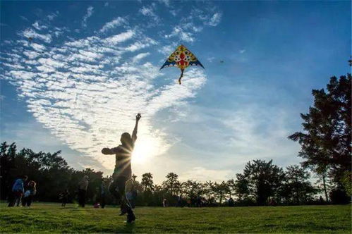 树妈妈放风筝风筝指的是什么,树妈妈放风筝：一场大自然的神秘狂欢