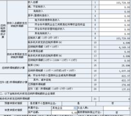 企业所得税年报资产总额填多少啊，平时都是零申报.不填金额不让保存. 企业没有开展任何业务，急求！