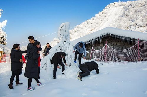 就在成都周边,穿行冰雪童话中,来一场雪地盛宴