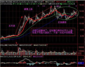 现在那支股票价值更高点？