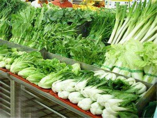 康有农业送菜公司 寮步水果蔬菜配送中心 水果蔬菜配送中心 