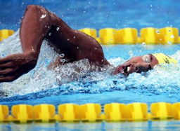 世界游泳比赛有哪些,第15届国际泳联世界锦标赛