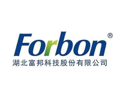  富邦的英文,Introduction to Fubon Financial Holding Company 天富招聘