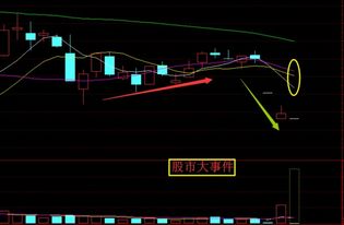 新希望这个股怎样?该怎样操作?谢谢