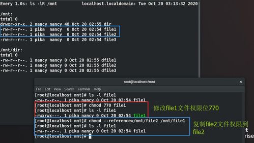 linux中chmod,什么是chmod命令？