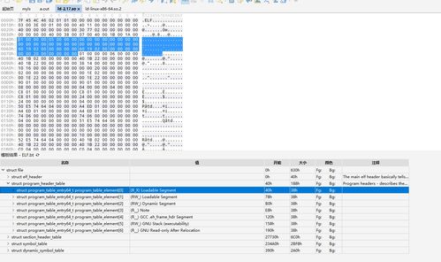 elf文件解析二
