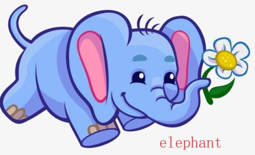 大象的英语怎么读 