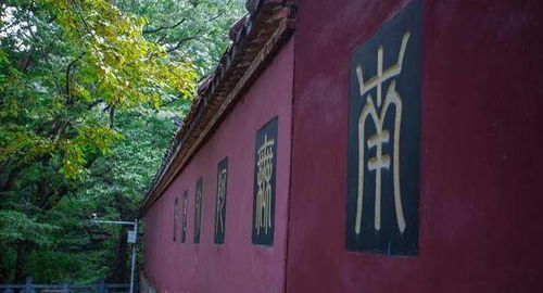 去武当山旅游,为什么不能和神像合照