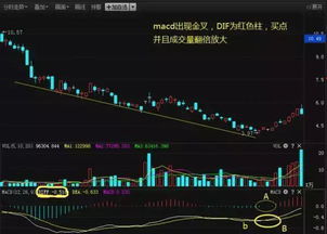 哪位高手请教为什么当日MACD金叉选出的股票会延迟一天，其实上一天已金叉了，如何解决，拜托了