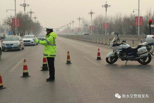 衡水园博园元宵节免费停车位交通指南(冀州免费停车场有哪些项目)