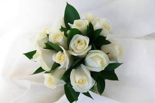 女生送白玫瑰花语,女生送白玫瑰花的含义，你真的懂了吗？