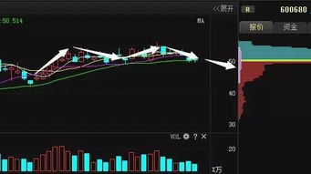 股票无限期停牌，那买的股票该怎么办？？