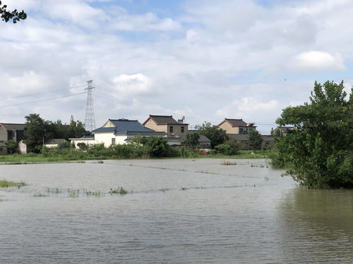 乡村数字化水利设施建设