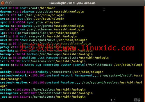 linux系统中passwd文件的作用,Liux中的passwd文件：守护系统安全的秘密武器