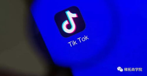 TikTok研究报告 什么才是TikTok的最佳运营方案