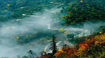 四川瓦屋山水怪