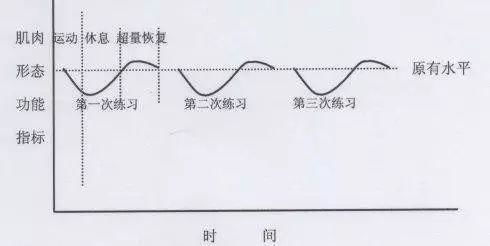 如何训练才会 越练越强 体育生必须懂的超量恢复,你知道吗