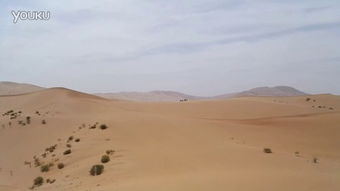 沙漠绿洲 新疆 