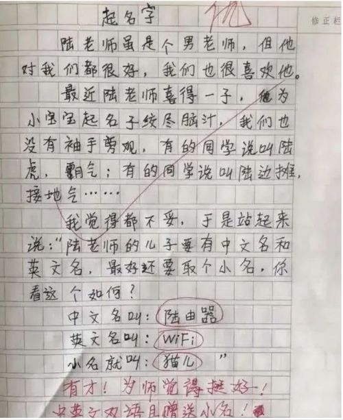 酒作文400字