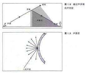 声传播的基本特点 