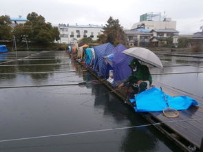 冬季钓鱼,越打窝越钓不到鱼