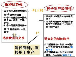 中药材种子选种育种的方法 