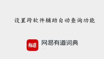  欧陆词典跨软件查词,欧陆词典跨软件查词功能详解——便捷学习新体验 天富资讯