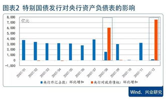 特别国债是什么形式？利率是多少有谁知道？