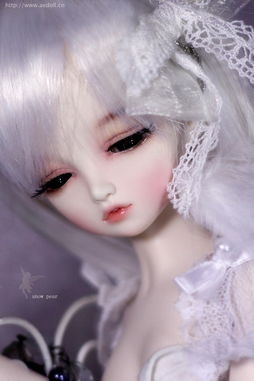 SD 娃娃 雪梨 bjd 娃娃 sd送眼珠 