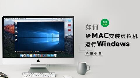 mac安装cvx,在Mac中安装CVX。