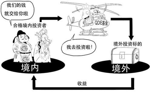 丁宠家庭？白奴和丁宠家庭分别是什么意思