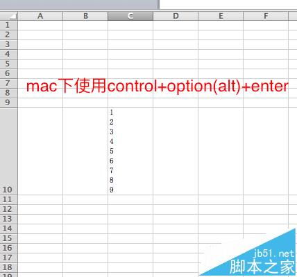 mac中excel怎么换行,Mac中Excel换行技巧大揭秘，让你的表格更加美观