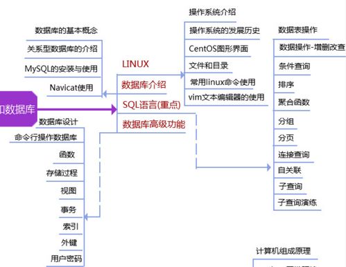 linux系统绝对路径,Liux系统：探索绝对的路径之美！