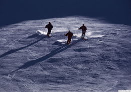 滑雪运动图片348 
