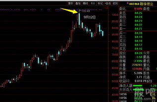 新增股份上市首日不除权是什么意思