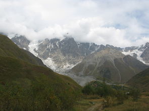 山桃什么满山头——探寻一种独特的自然景观，山,山满,桃山杏