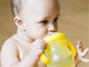 鸭嘴杯适合多大宝宝使用 宝宝不爱用鸭嘴杯喝水怎么办