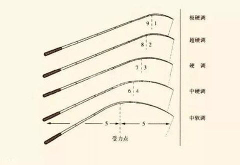 鱼竿的h和调是什么意思？如何区分钓鱼竿的调性