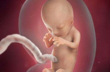 十月怀胎 并不是真的十个月,胎儿出生前,会给你三个早期信号