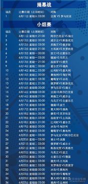 2024欧洲杯比赛时间北京时间是几点,比赛时间