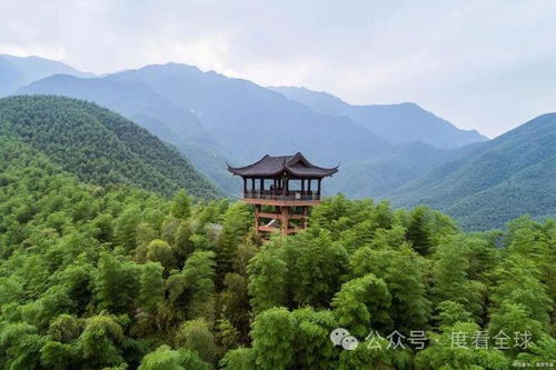 安吉旅游必去的景点,浙江安吉旅游景点大全排名榜-第2张图片