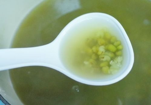 白鸽绿豆汤有什么功效 