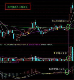 我刚入股市，不知如何选股，请问哪位高手解释一下选股技巧？上涨股的参数有哪些？