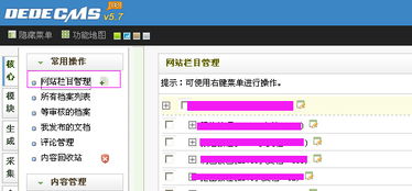 大米cms系统AI文章生成站群工具