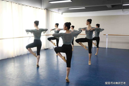 哈尔滨舞蹈高考班,哈尔滨文化课高考集训营哪家好
