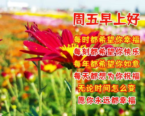 朋友早上好问候语温馨短句2021  第2张